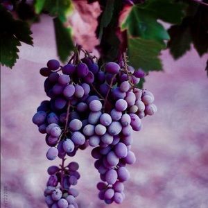 Meet your Posher, Grape